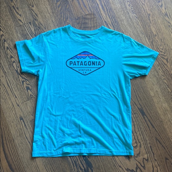 Patagonia Tops - Patagonia Teal Graphic Tee